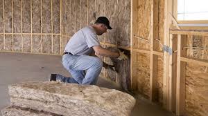 Best Spray Foam Insulation  in North Pearsall, TX